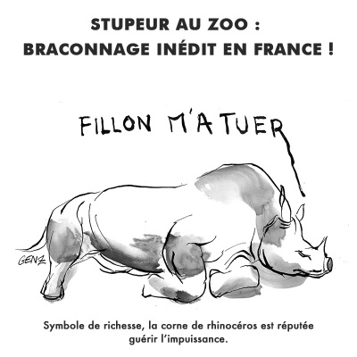 Stupeur au zoo: braconnage inédit en France! © Laura Genz 09/03/17